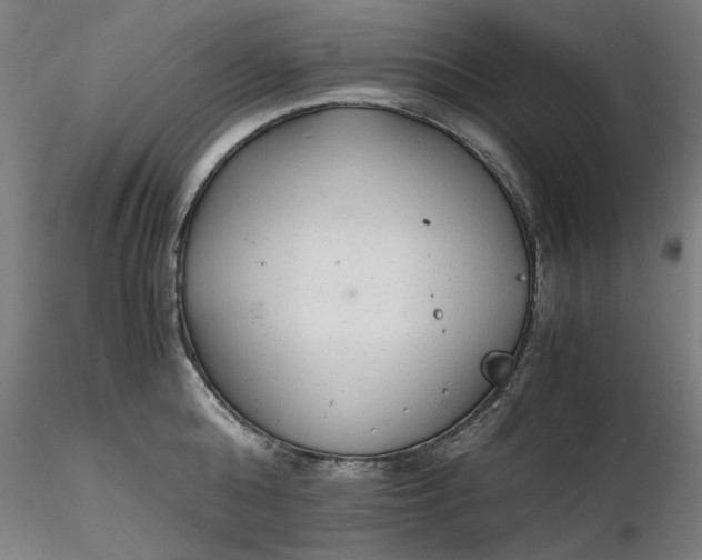 X0000116460808200912231359