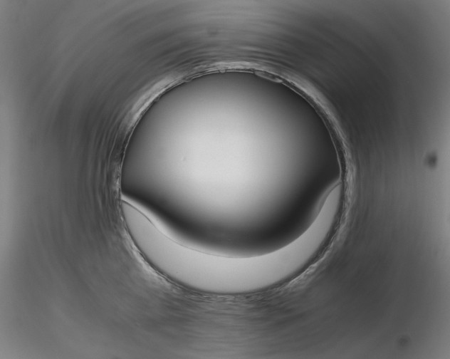 X0000116460809200912231359