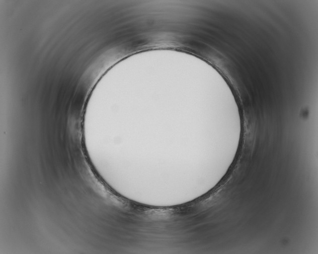 X0000116460810200912231359