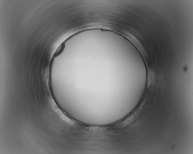 X0000116460812200912231359