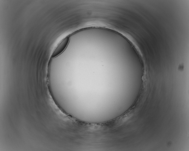 X0000116460815200912231359