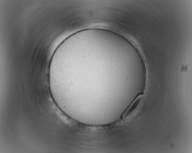 X0000116460816200912231359