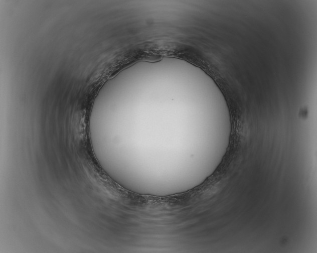 X0000116460818200912231359