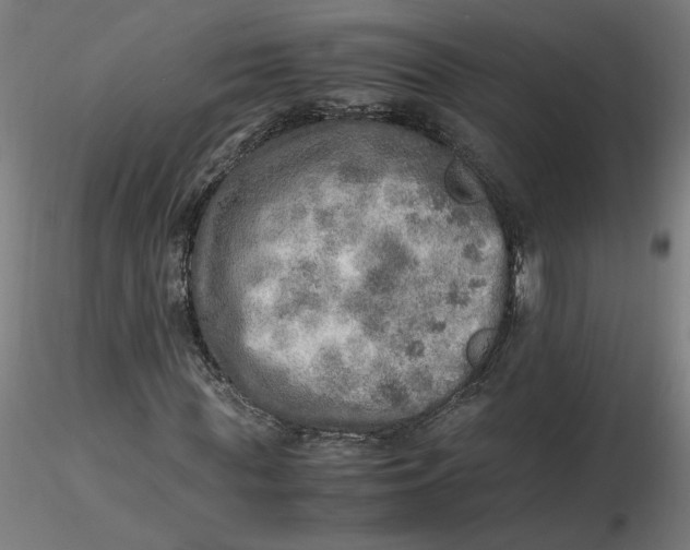 X0000116460819200912231359