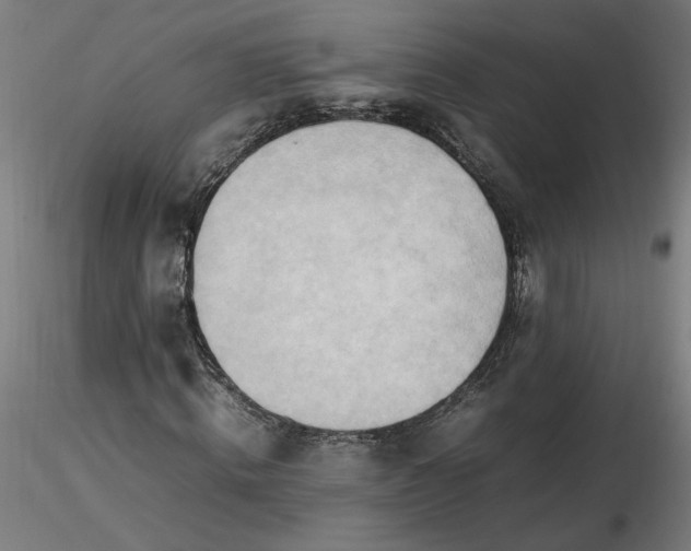 X0000116460820200912231359