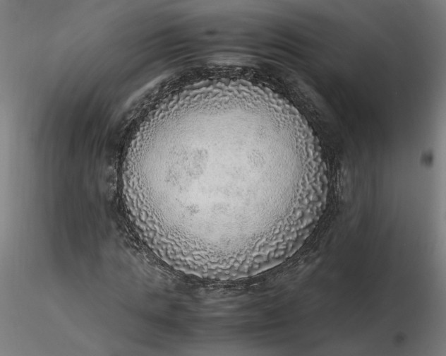 X0000116460821200912231359