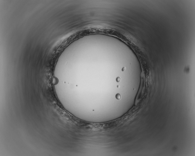 X0000116460822200912231359