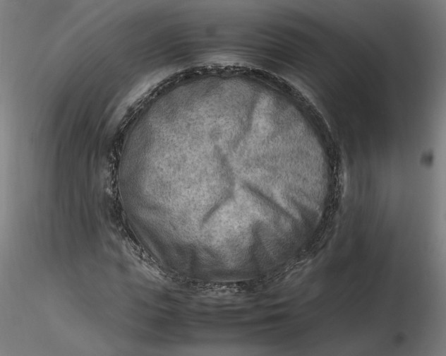 X0000116460823200912231359