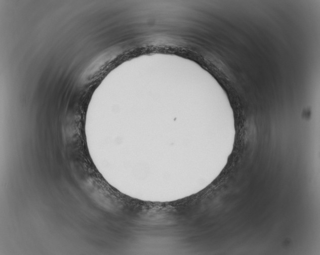 X0000116460824200912231359