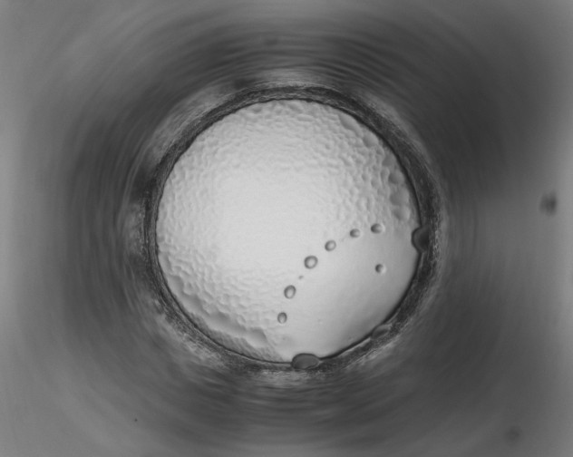 X0000116460825200912231359