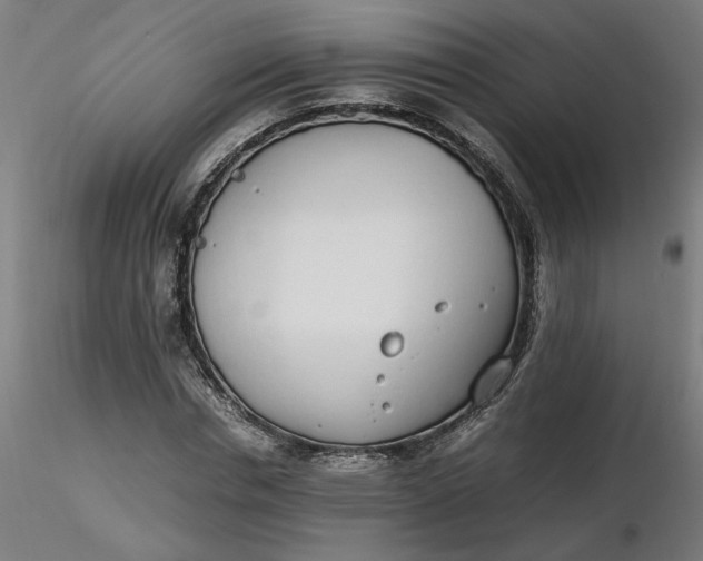 X0000116460826200912231359