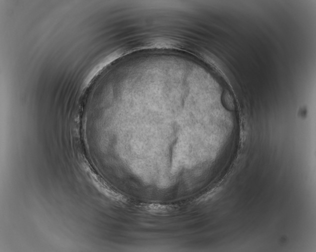 X0000116460827200912231359