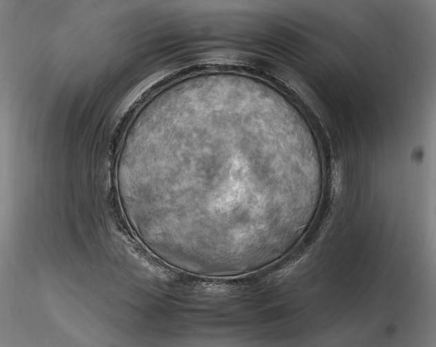X0000116460829200912231359