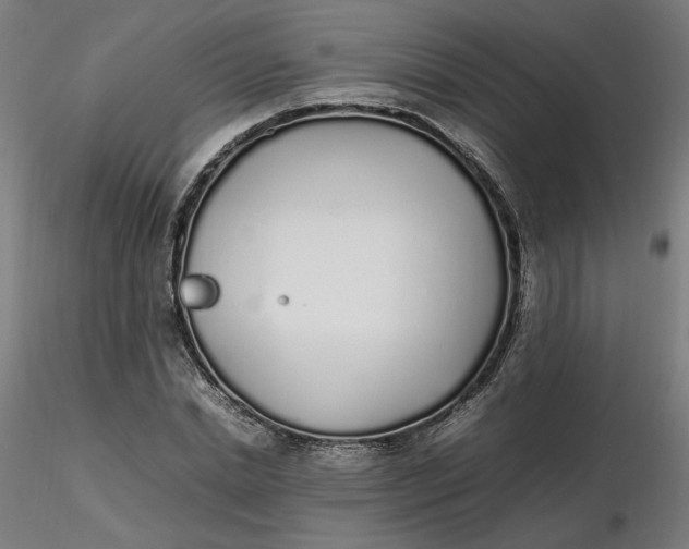X0000116460830200912231359