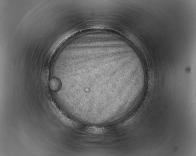 X0000116460831200912231359