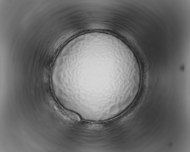 X0000116460833200912231359