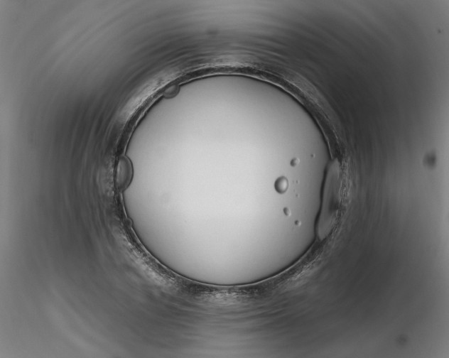 X0000116460834200912231359