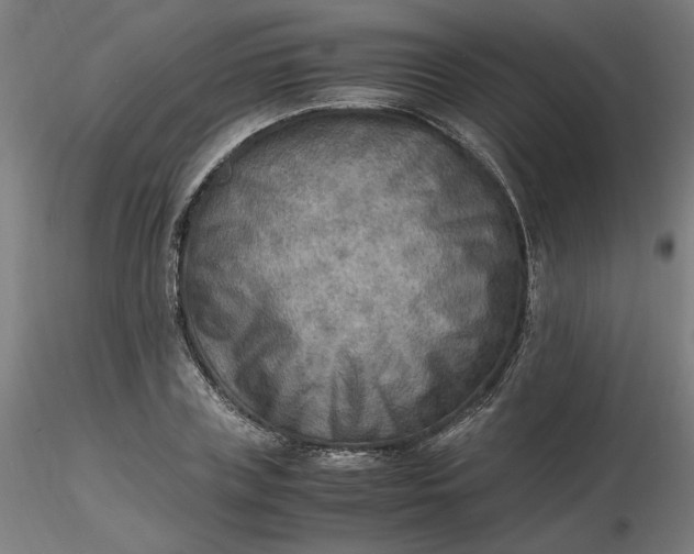 X0000116460835200912231359