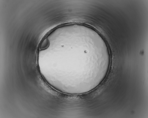 X0000116460838200912231359