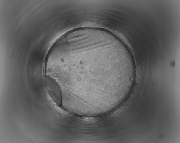 X0000116460839200912231359