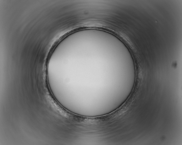 X0000116460840200912231359