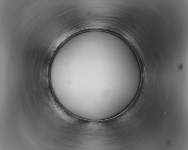 X0000116460842200912231359