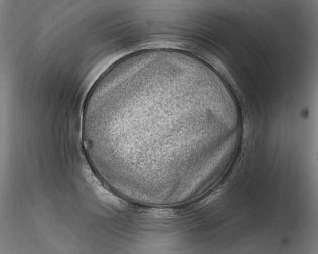 X0000116460844200912231359