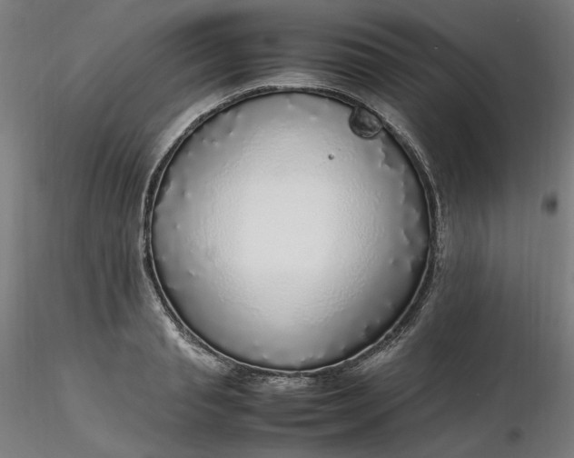 X0000116460845200912231359