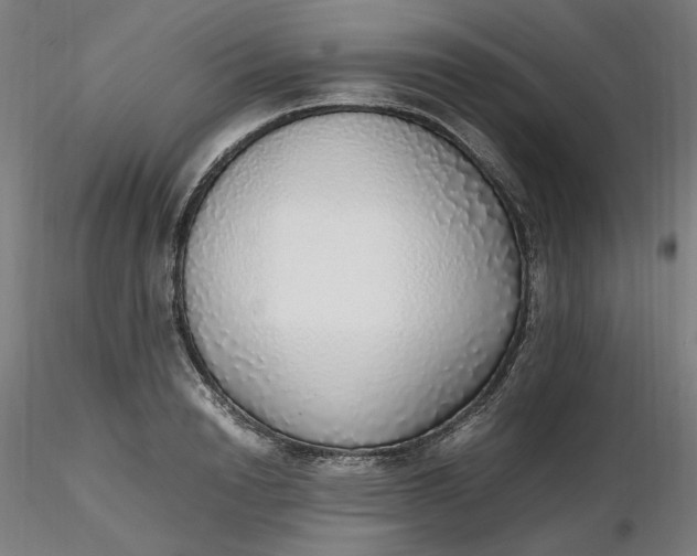 X0000116460846200912231359