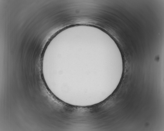 X0000116460848200912231359