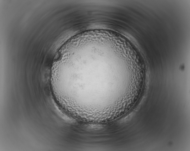 X0000116460849200912231359