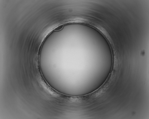 X0000116460850200912231359