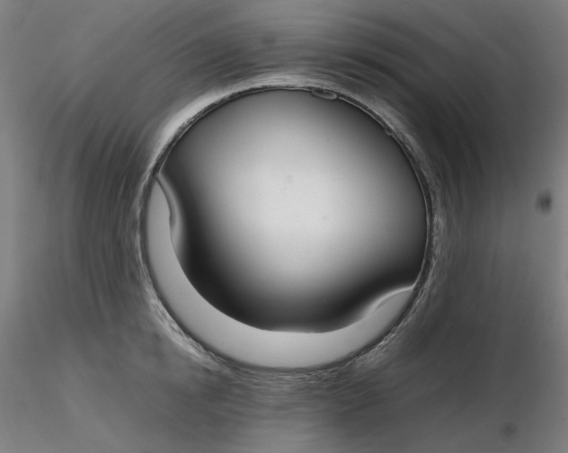 X0000116460854200912231359