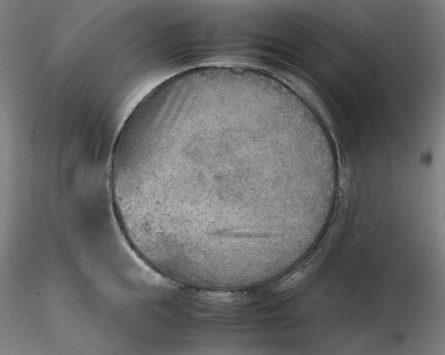 X0000116460855200912231359