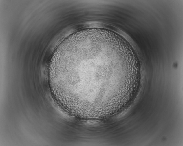 X0000116460857200912231359