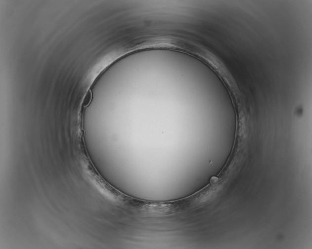 X0000116460858200912231359