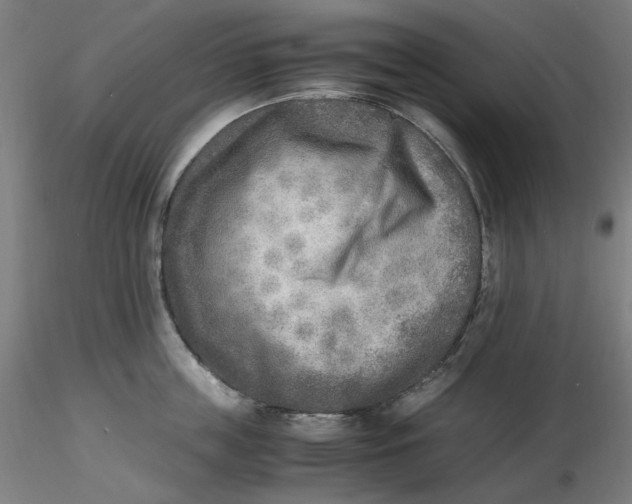 X0000116460859200912231359