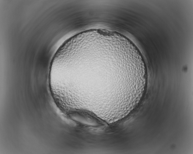 X0000116460861200912231359