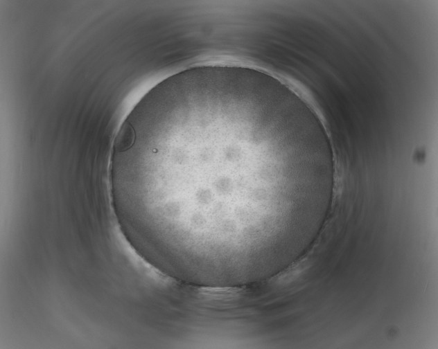 X0000116460863200912231359