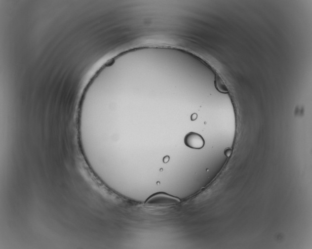 X0000116460864200912231359