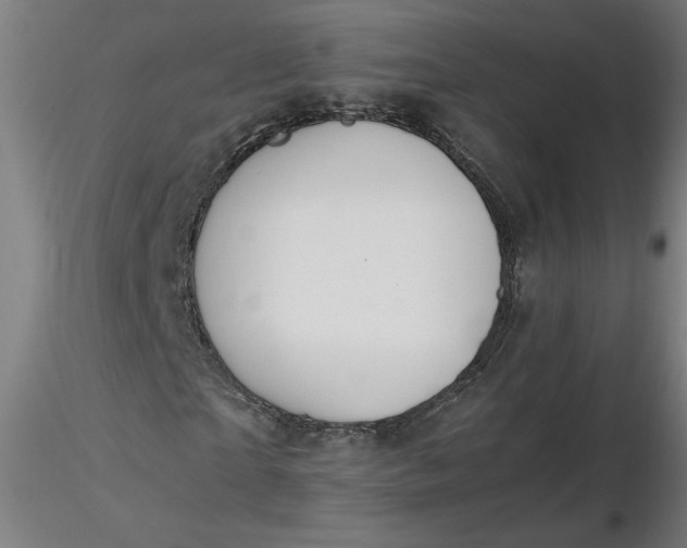 X0000116460865200912231359