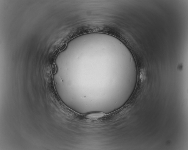 X0000116460867200912231359