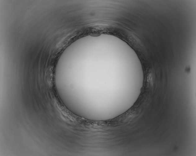 X0000116460868200912231359