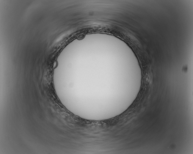 X0000116460869200912231359