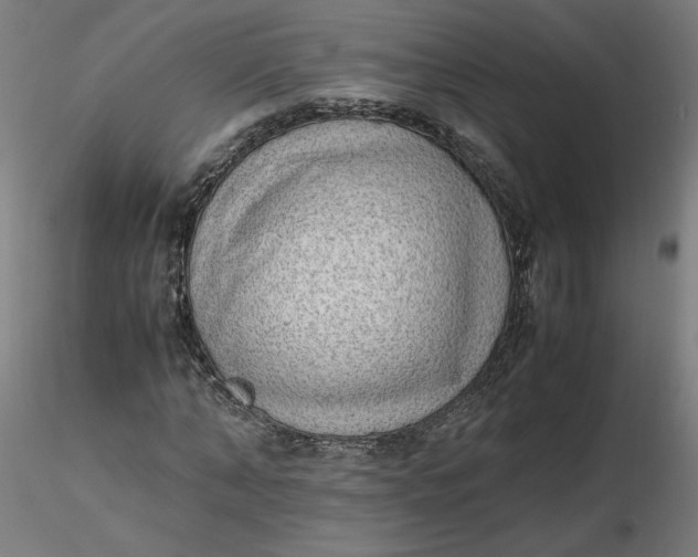 X0000116460870200912231359