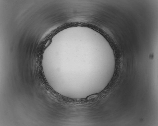 X0000116460872200912231359