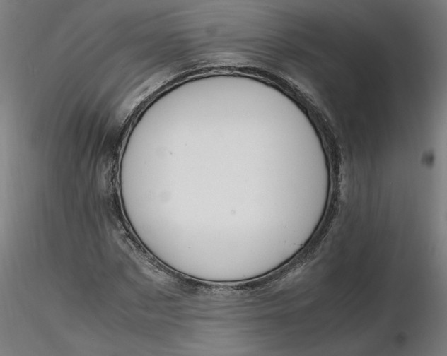 X0000116460873200912231359