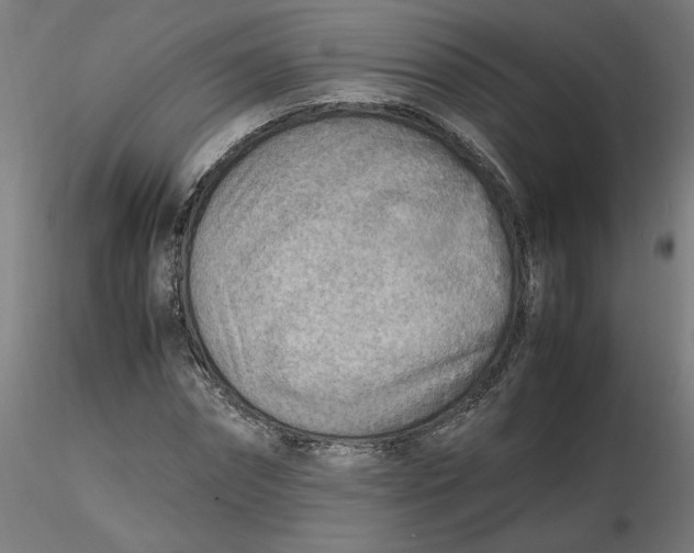 X0000116460874200912231359