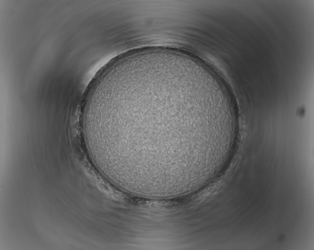 X0000116460875200912231359