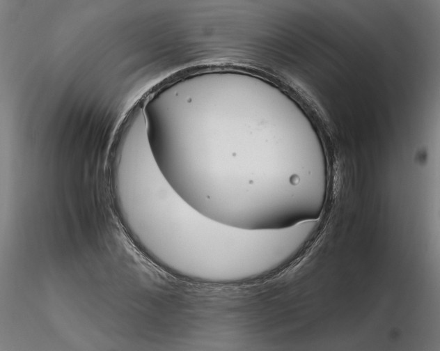 X0000116460876200912231359